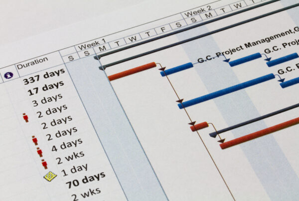 web to print implementation gantt chart