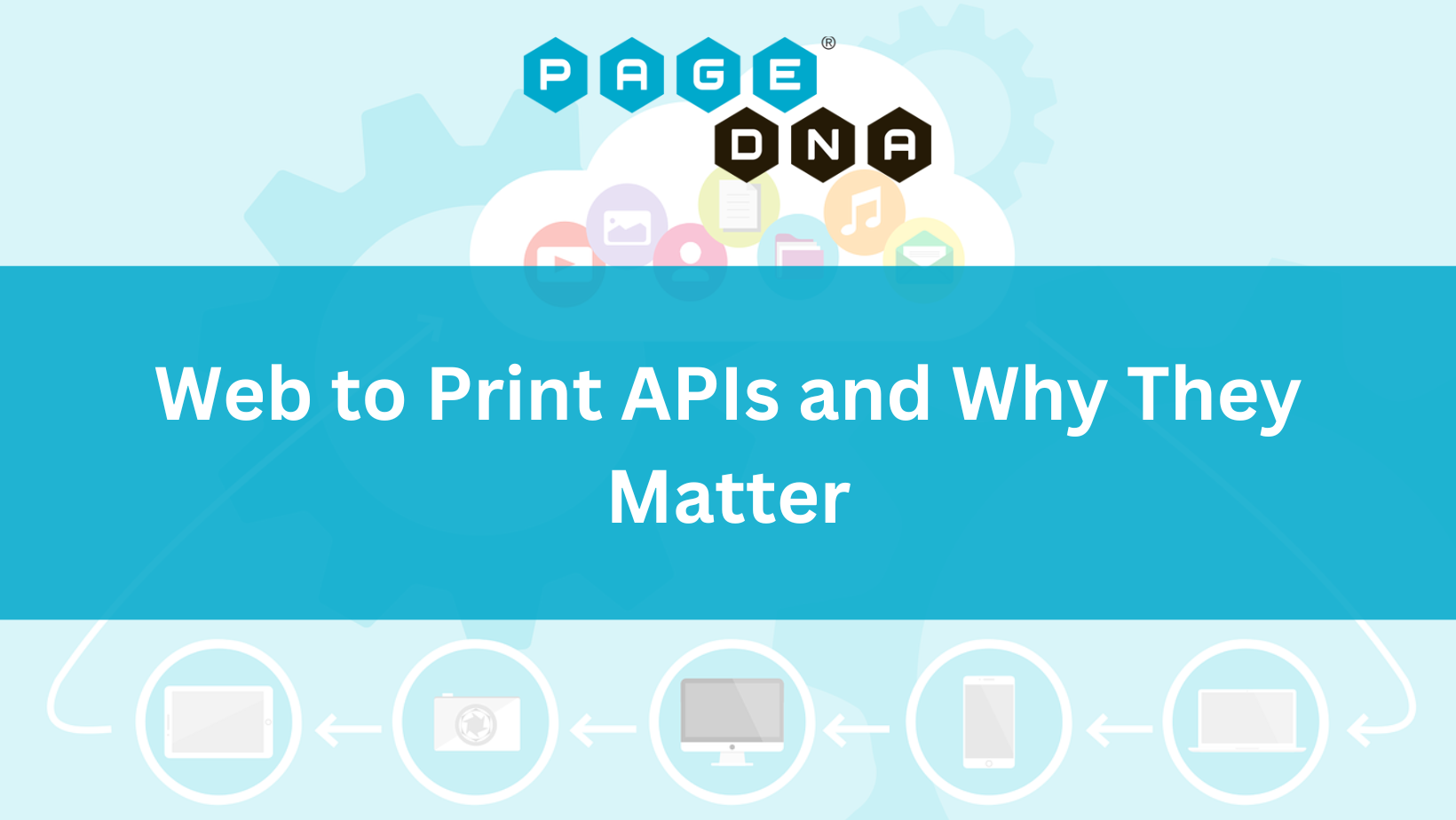 Web to Print APIs and Why They Matter - PageDNA
