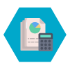 Budget Control icon